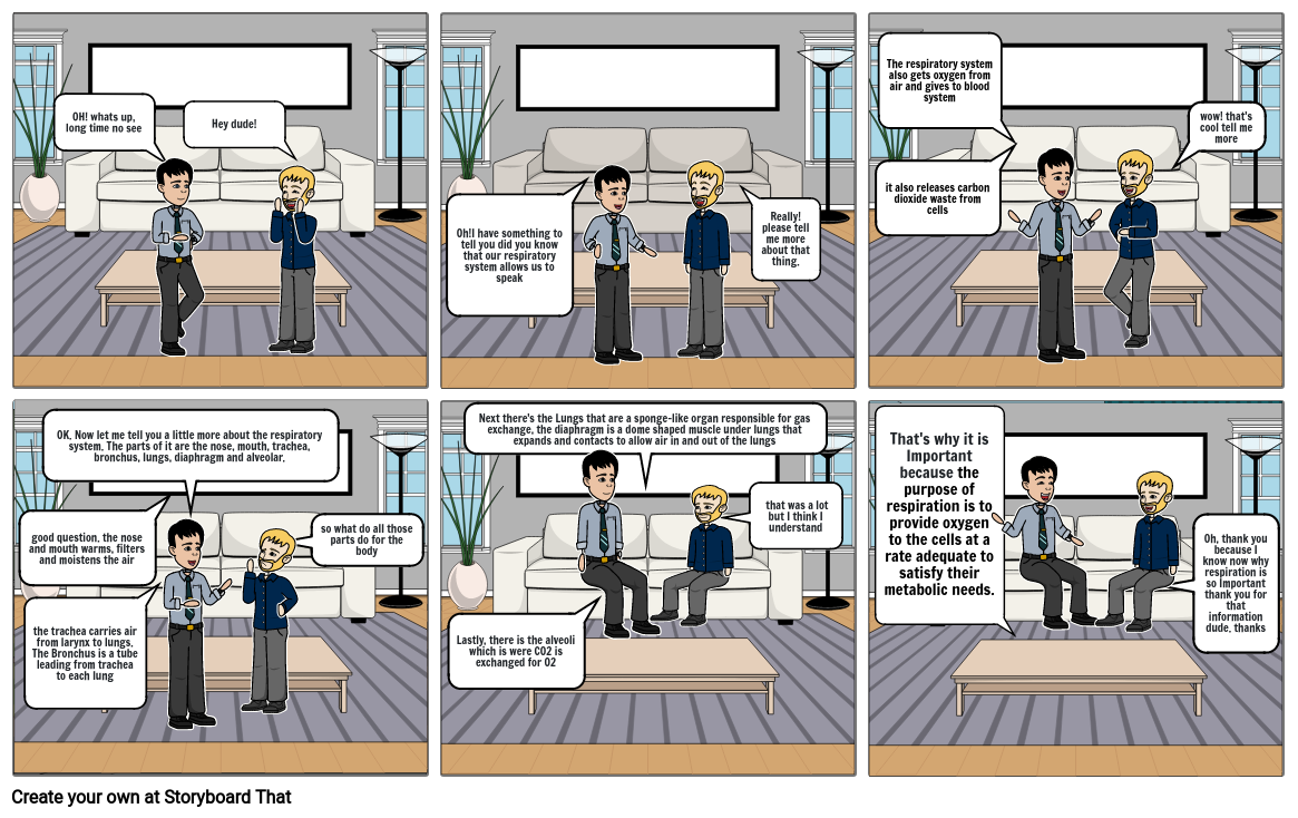 Respiration And Its Importance Storyboard By Jurry