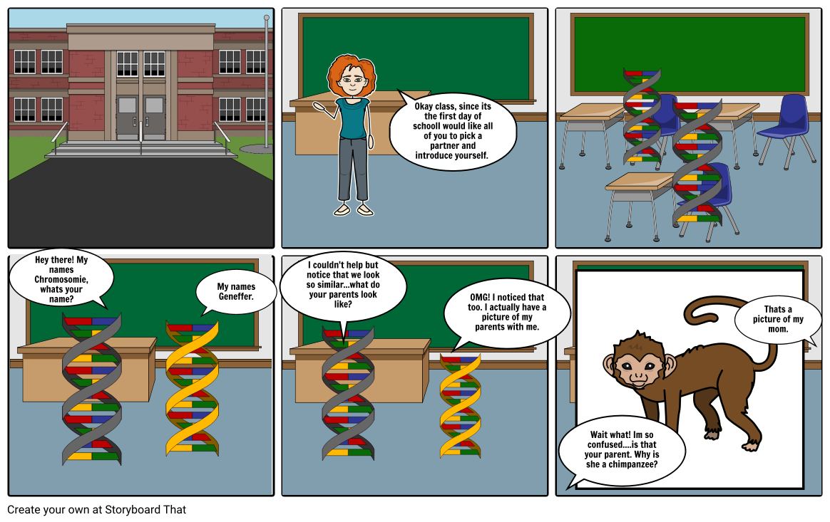 bio assignment (DNA similarities) Storyboard by kateee01