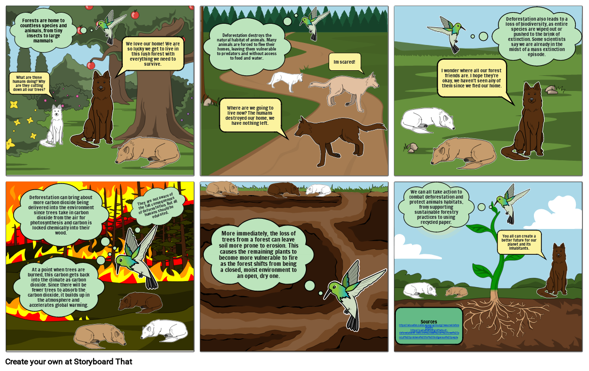 what-is-the-relationship-between-deforestation-and-forest-fires-wfca