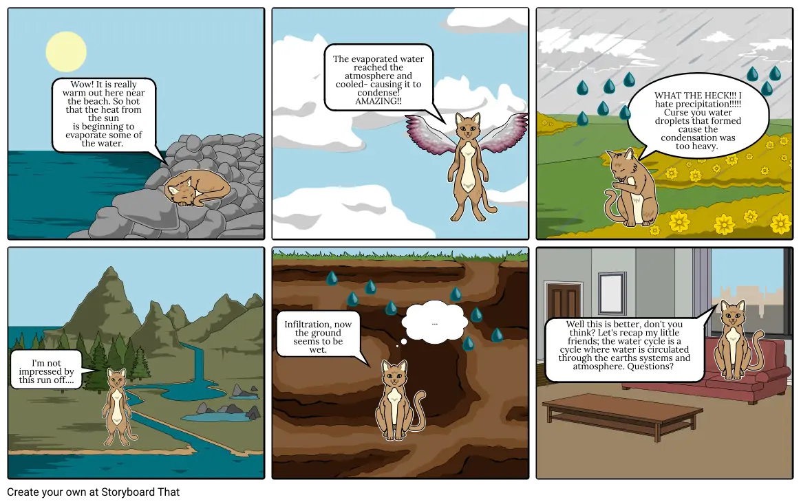 Cat Narrates the Water Cycle