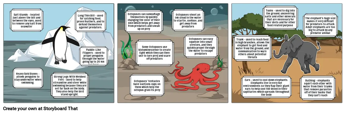 Adaptation Creation and Identification Storyboard