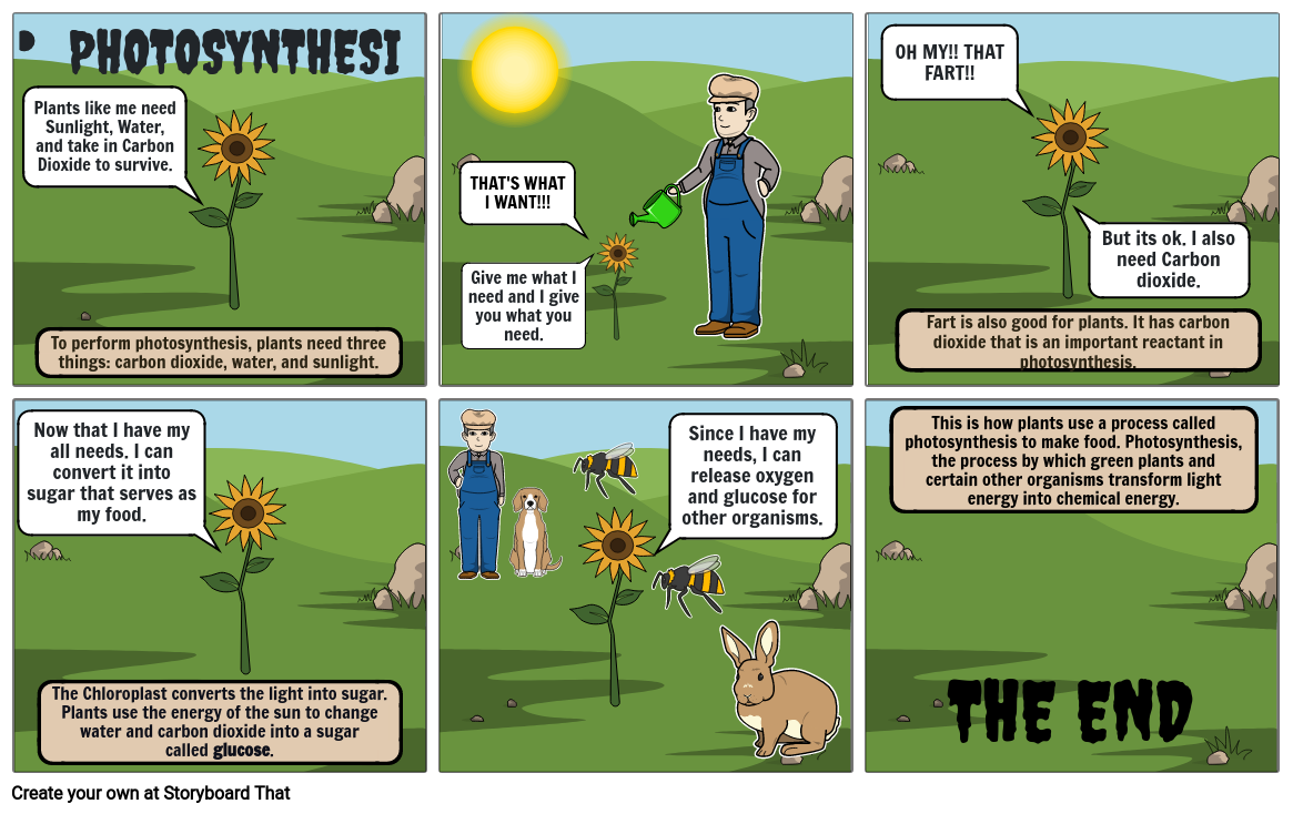 PETA 2 - Comic Strip Photosynthesis