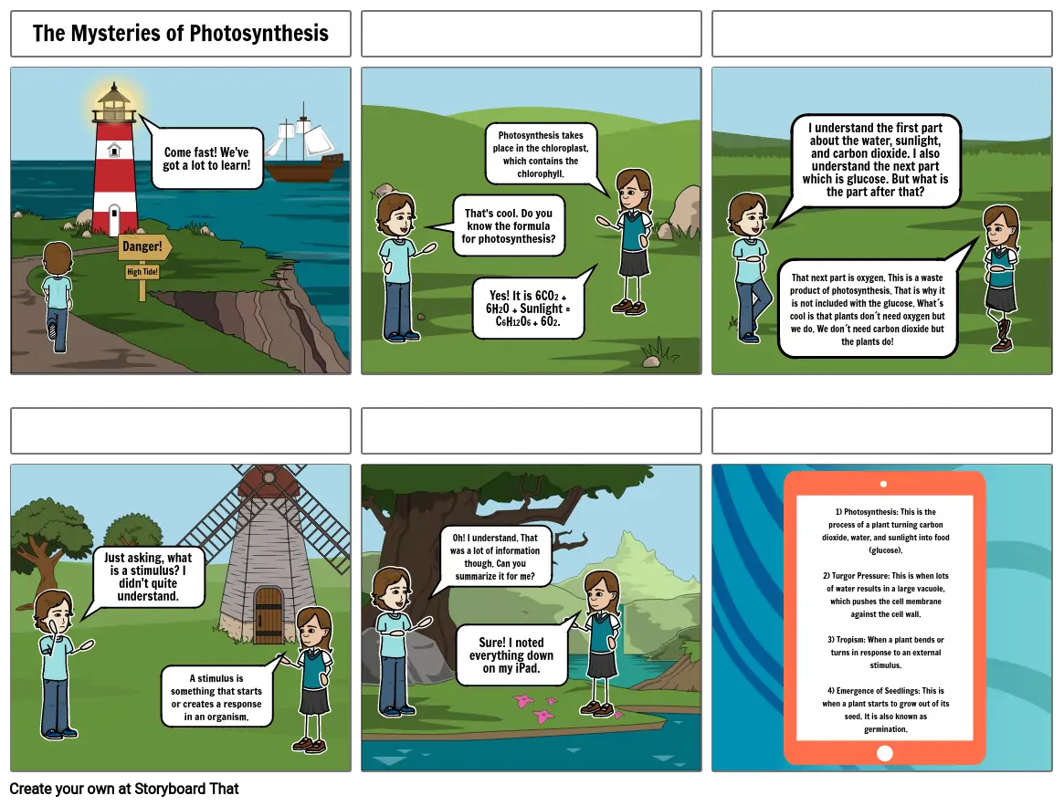 Photosynthesis Project Part 2