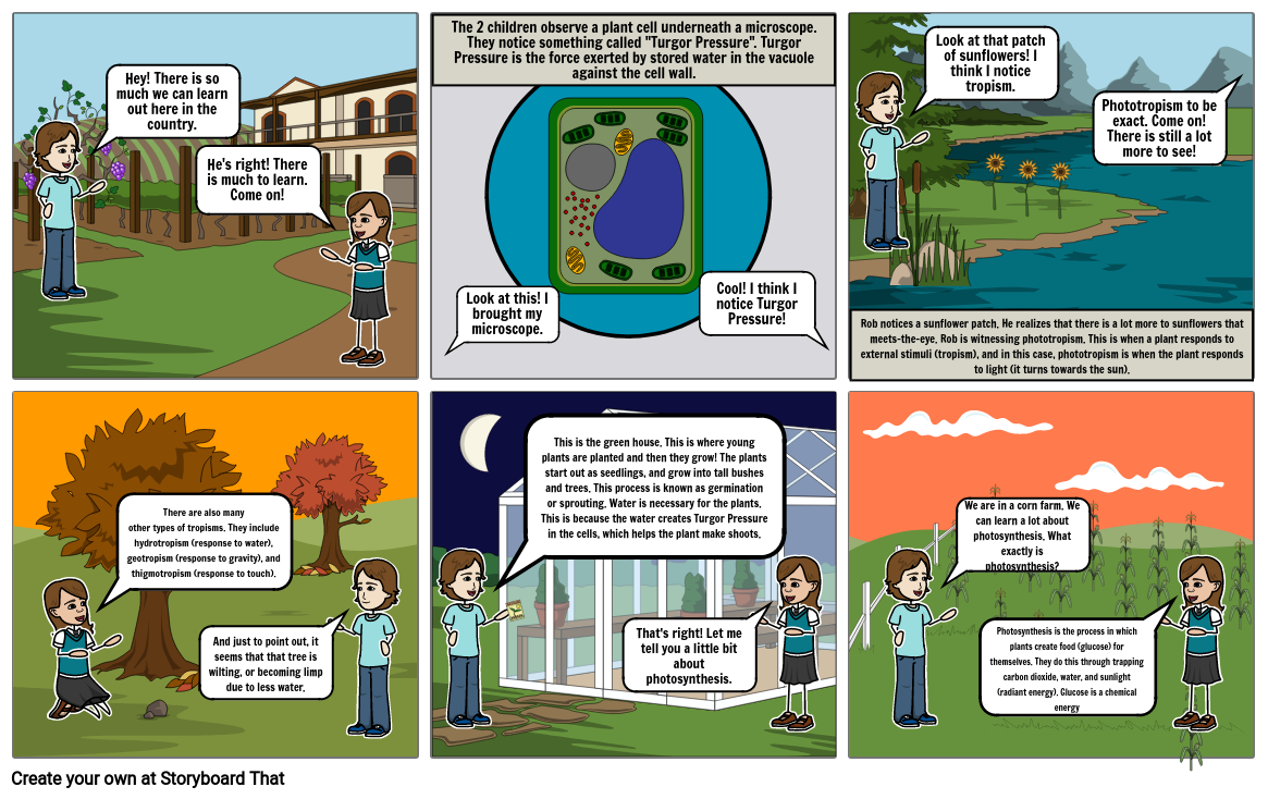 Science (Photosynthesis) Storyboard por koala0829