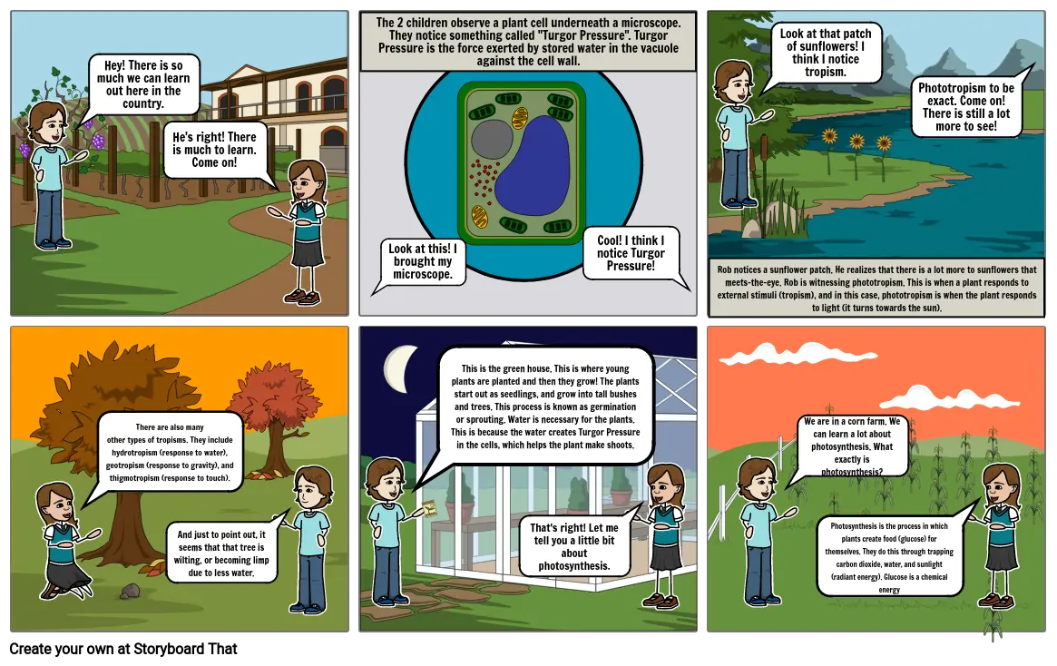 Science (Photosynthesis)