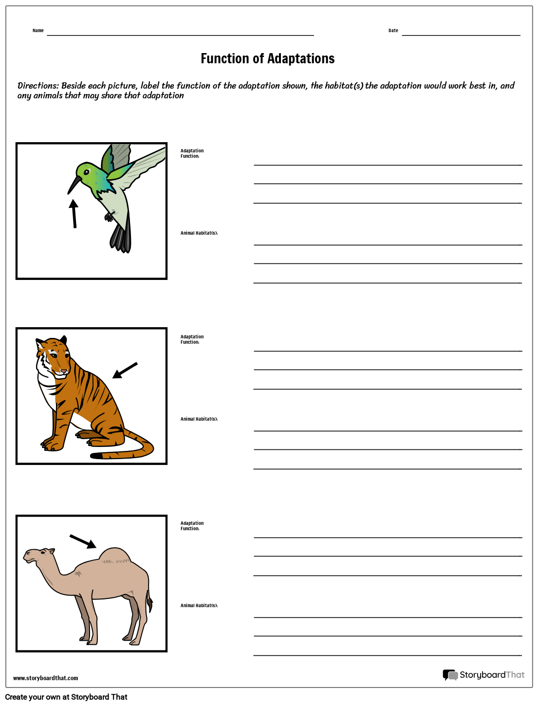 Pictures Of Animal Adaptations