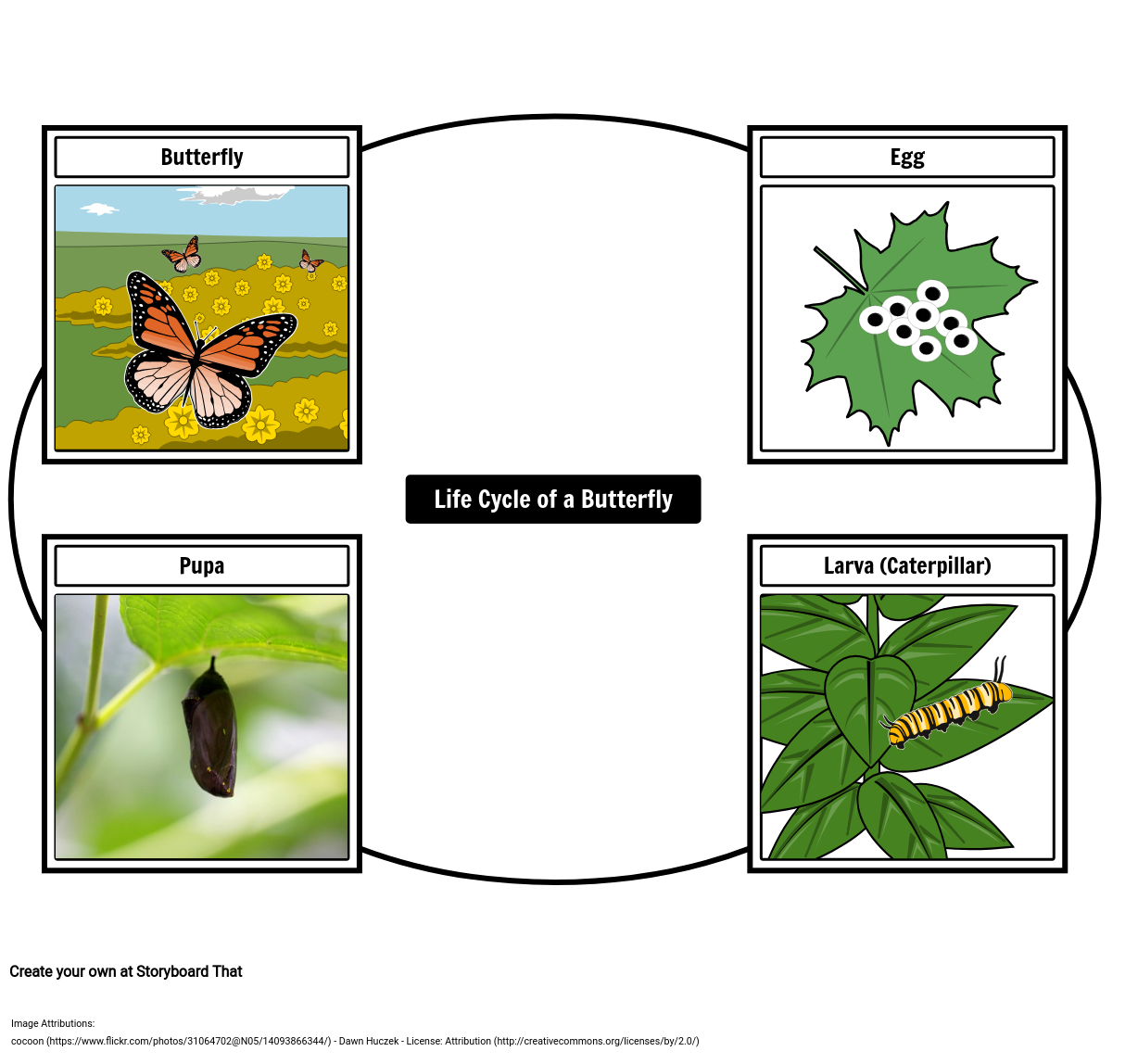 life-story-of-a-butterfly-book-read-online-free-geotechnical-engineering-books-pdf-free-download