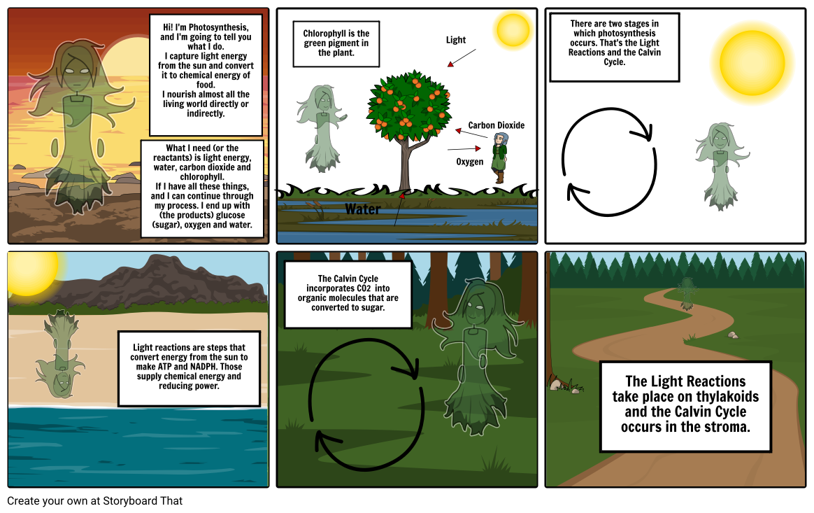 Photosynthesis Storyboard by laura8225