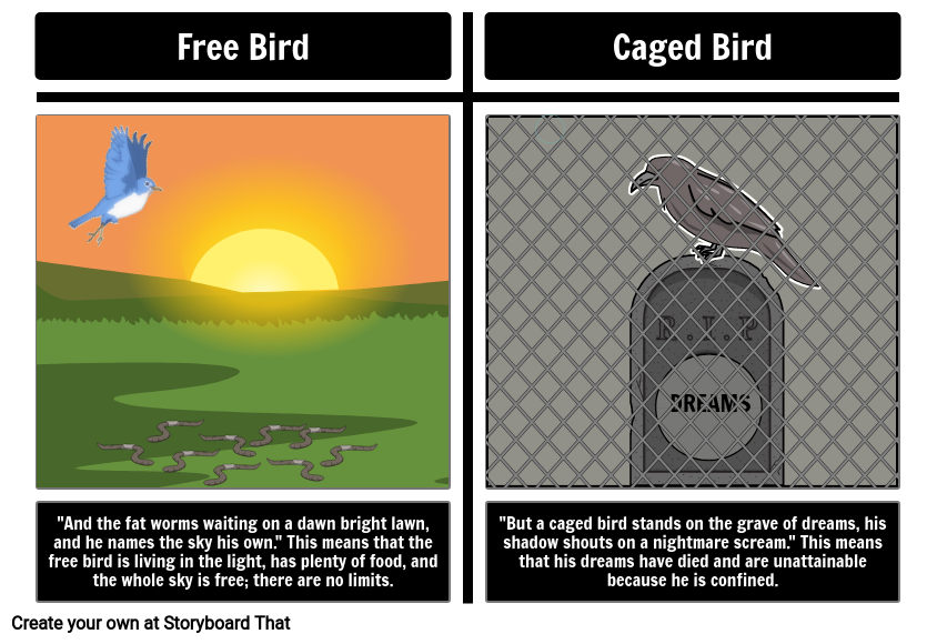 caged-bird-vs-free-bird-storyboard-par-lauren