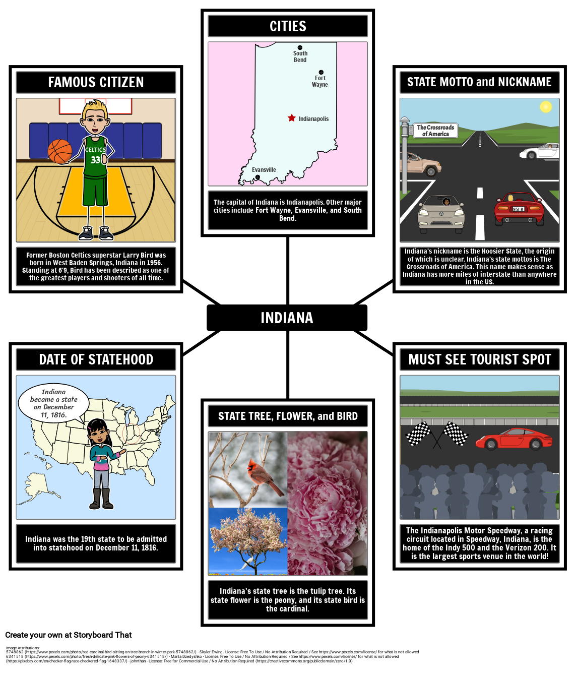 important-facts-about-indiana-spider-map-storyboard