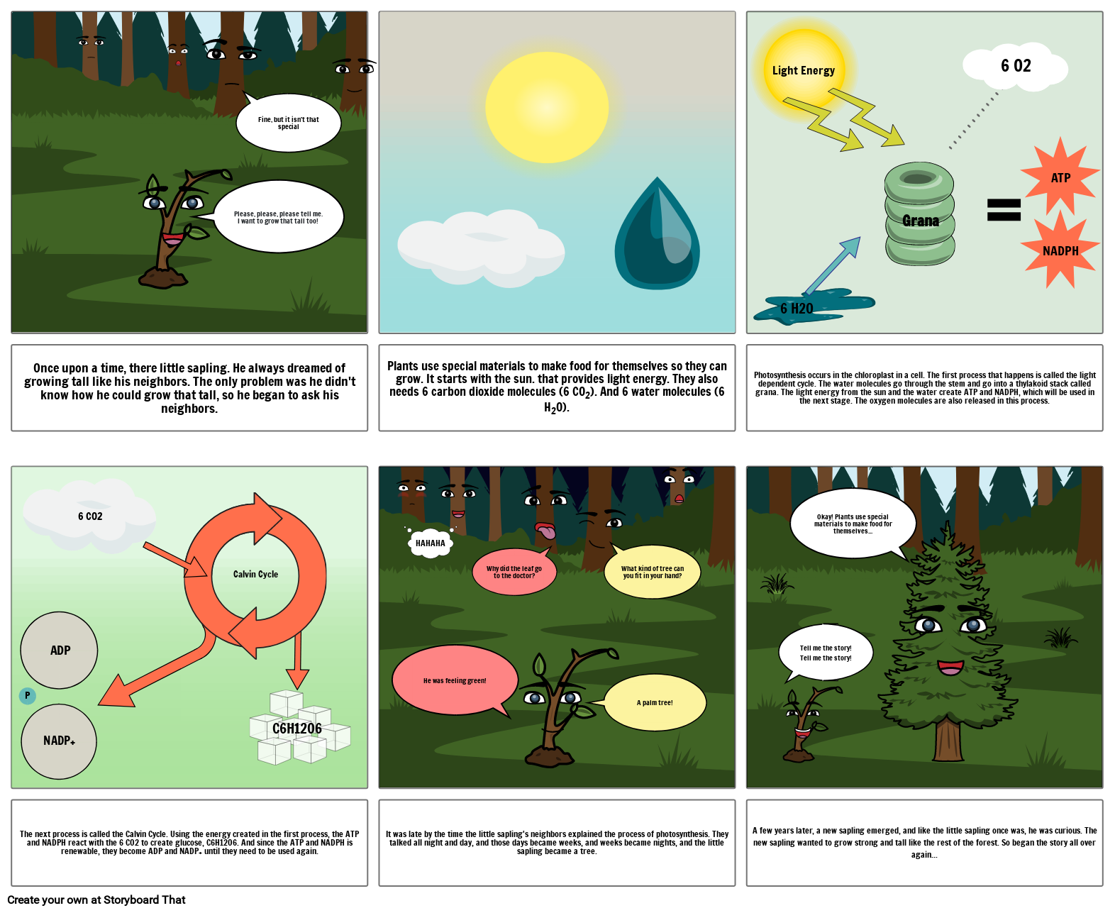 Biology Storyboard By Lavanyajrr