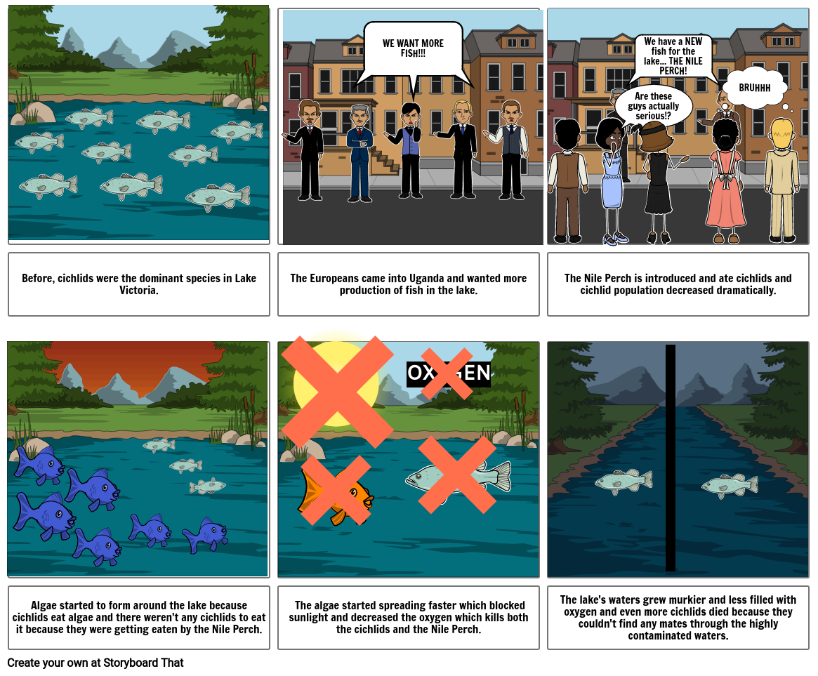 Lake Victoria Project: Part 2 Storyboard by lgithinji002