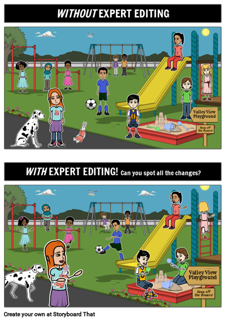 Expert Editing Spot the Changes