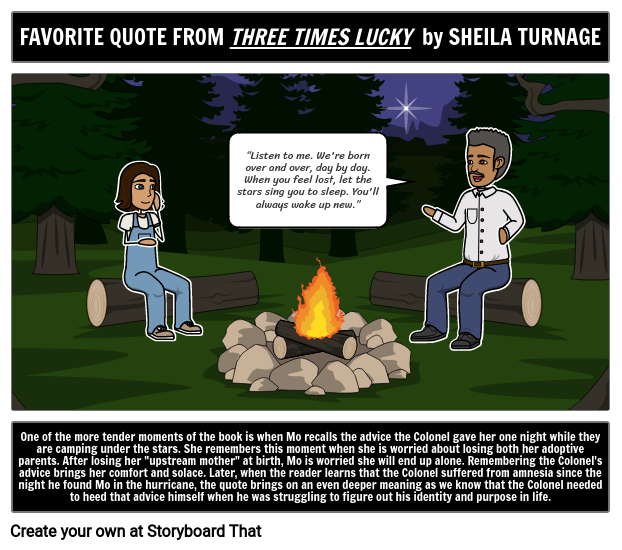 Three Times Lucky Favorite Quote Storyboard By Liane 8543