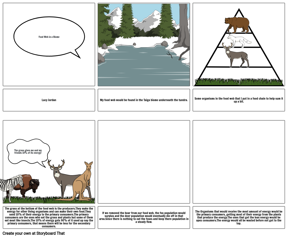 Food web/chain biome work science Storyboard de lj17044