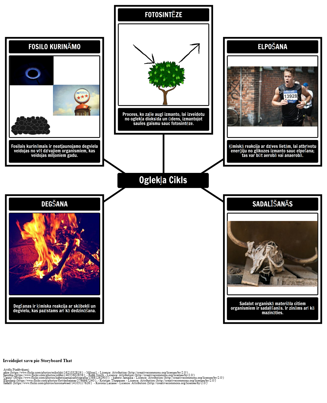 carbon-cycle-v-rdn-ca-storyboard-por-lv-examples