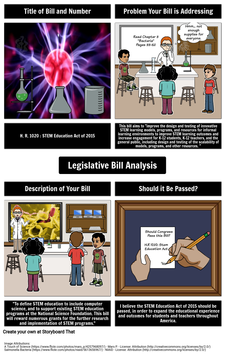 Legislative critique