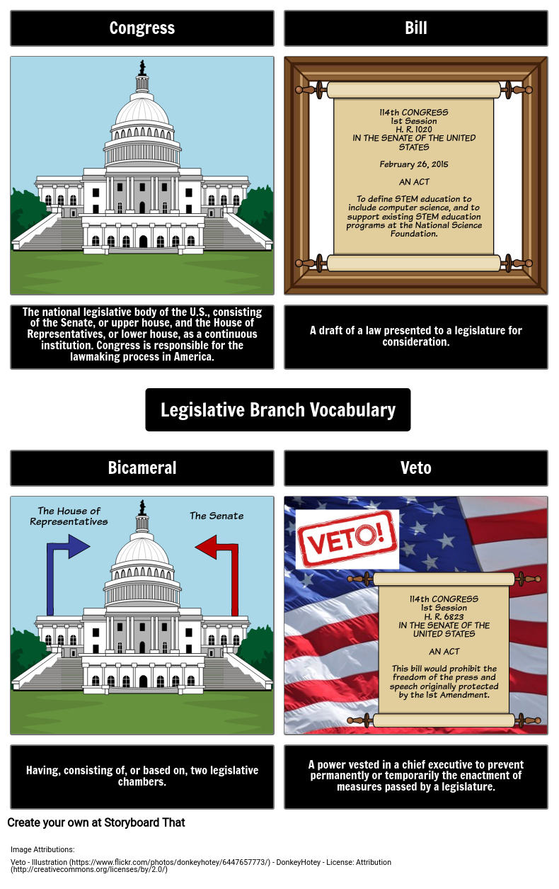 Vocabulary Terms Of The Legislative Branch Storyboard