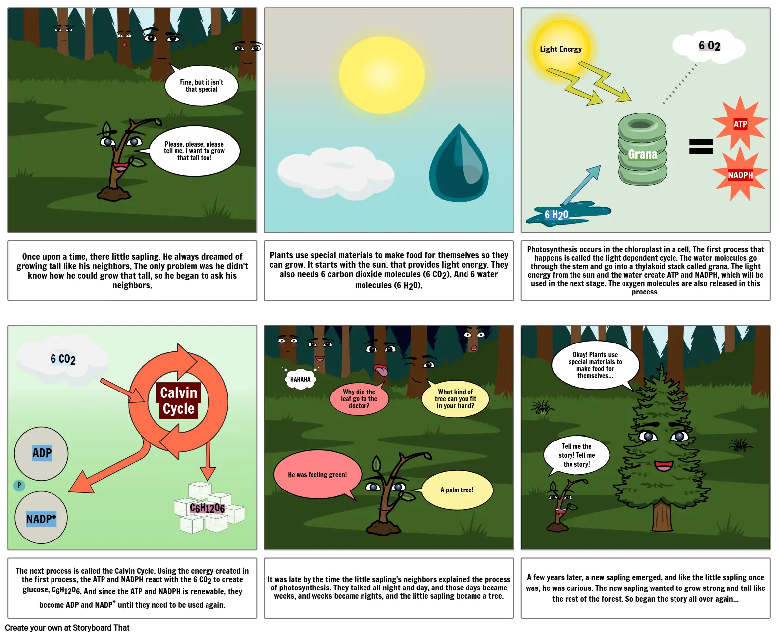 Photosynthesis Comic Strip