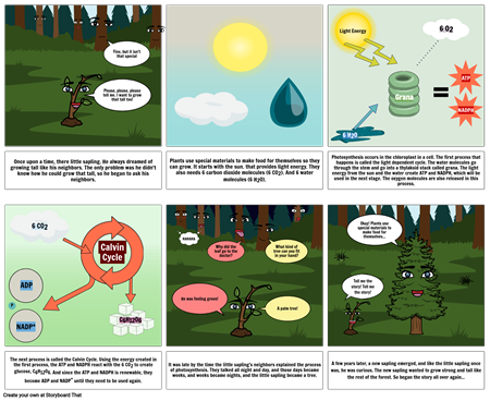 Photosynthesis Comic Strip