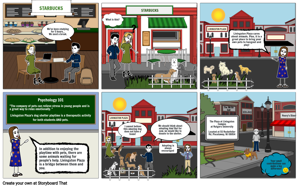 Livingston Plaza CSR Video Storyboard by message4131