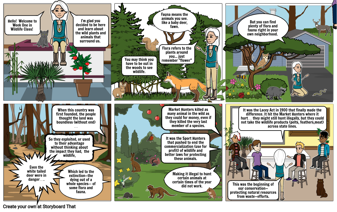 Wildlife Week One Storyboard by msthurston