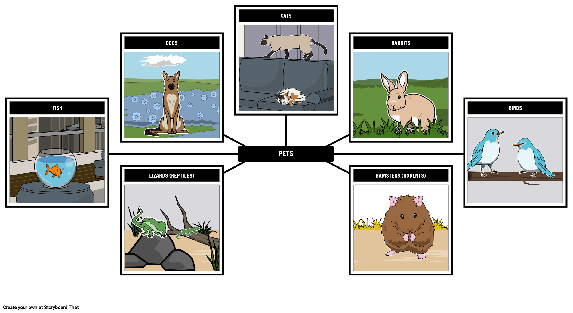 Spider Map Graphic Organizer Web Organizer