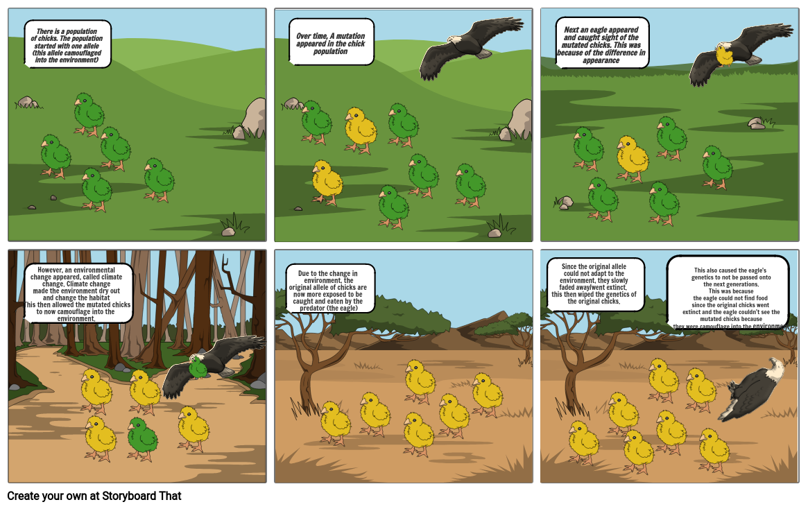 bio diversity Storyboard par nidhan