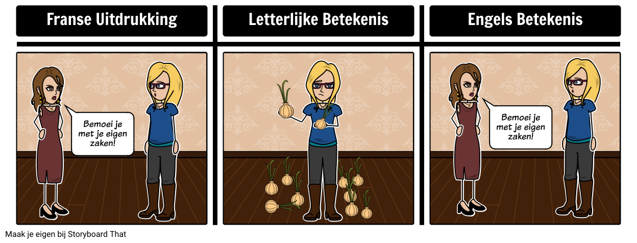 letterlijke-vs-uitdrukking-storyboard-by-nl-examples