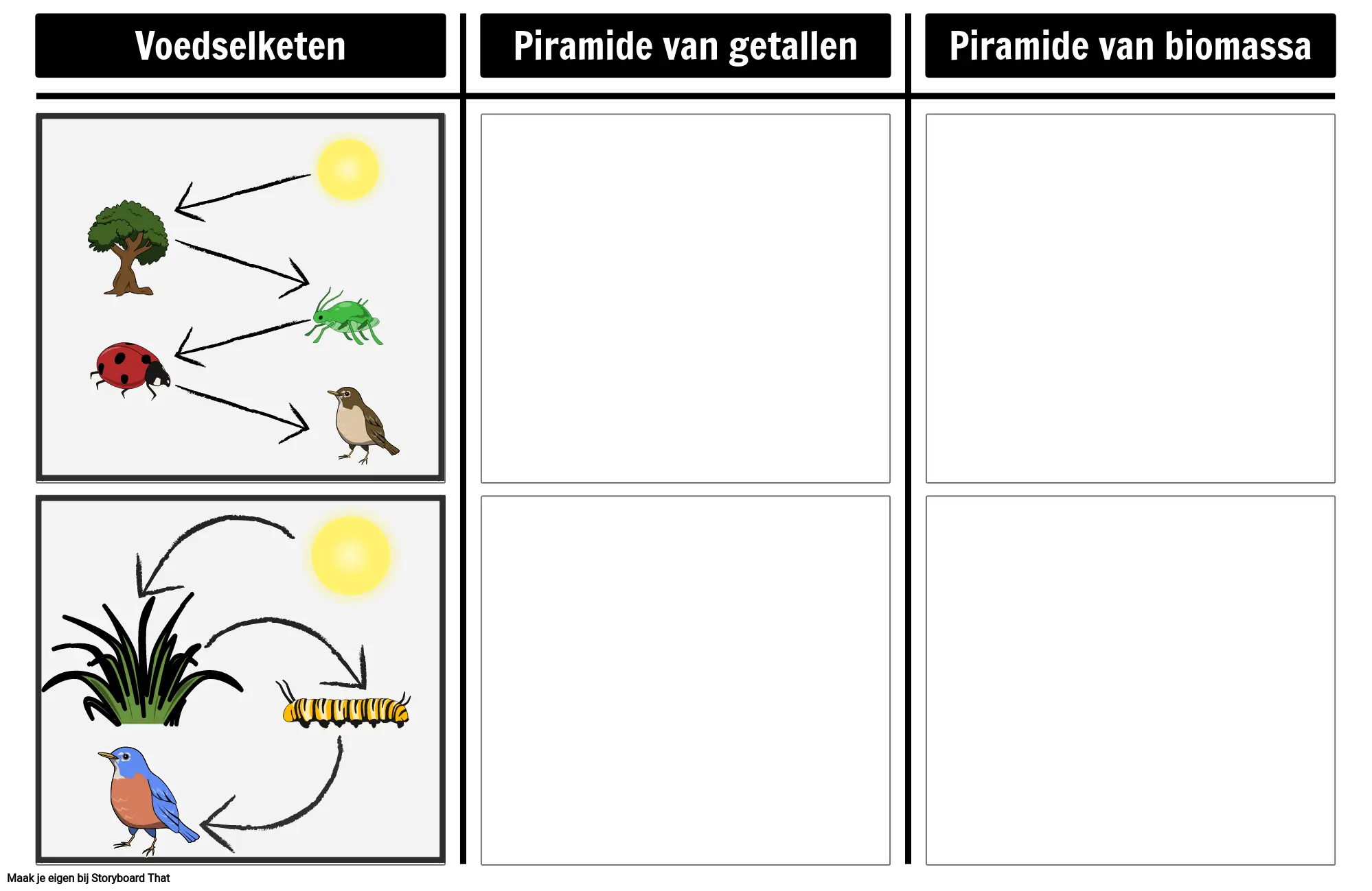 Piramide van Getallen en Biomassa