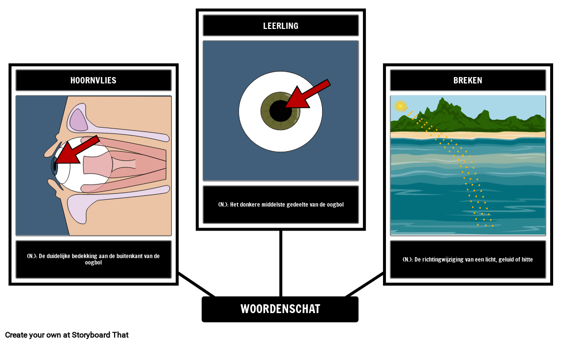 Seeing Eye to Eye - Woordenschat Storyboard por nl-examples