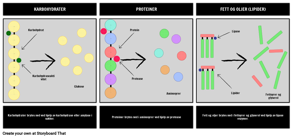 ford-yelse-storyboard-by-no-examples