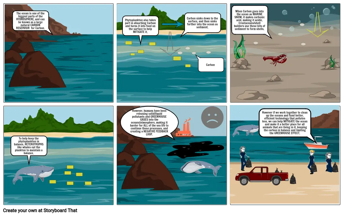 Carbon Cycle Hydrosphere Story Board