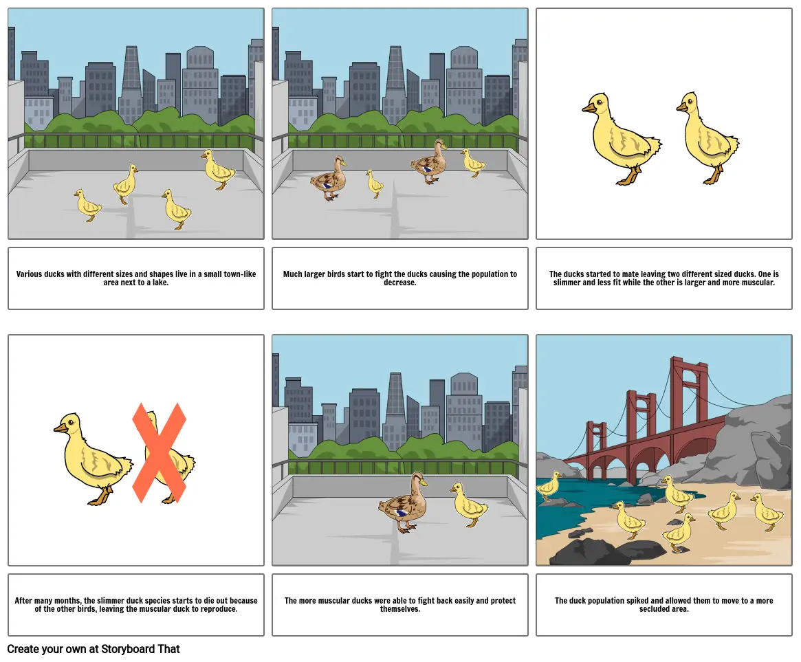 Natural Selection storyboard