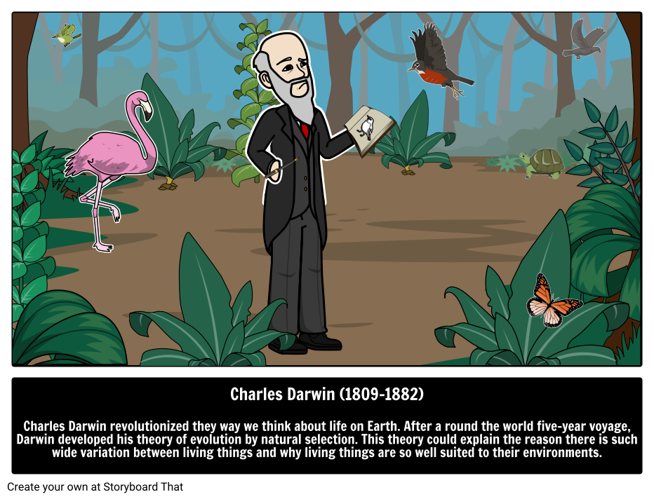 Charles Darwin Natural Selection & Evolution | Buena Gente