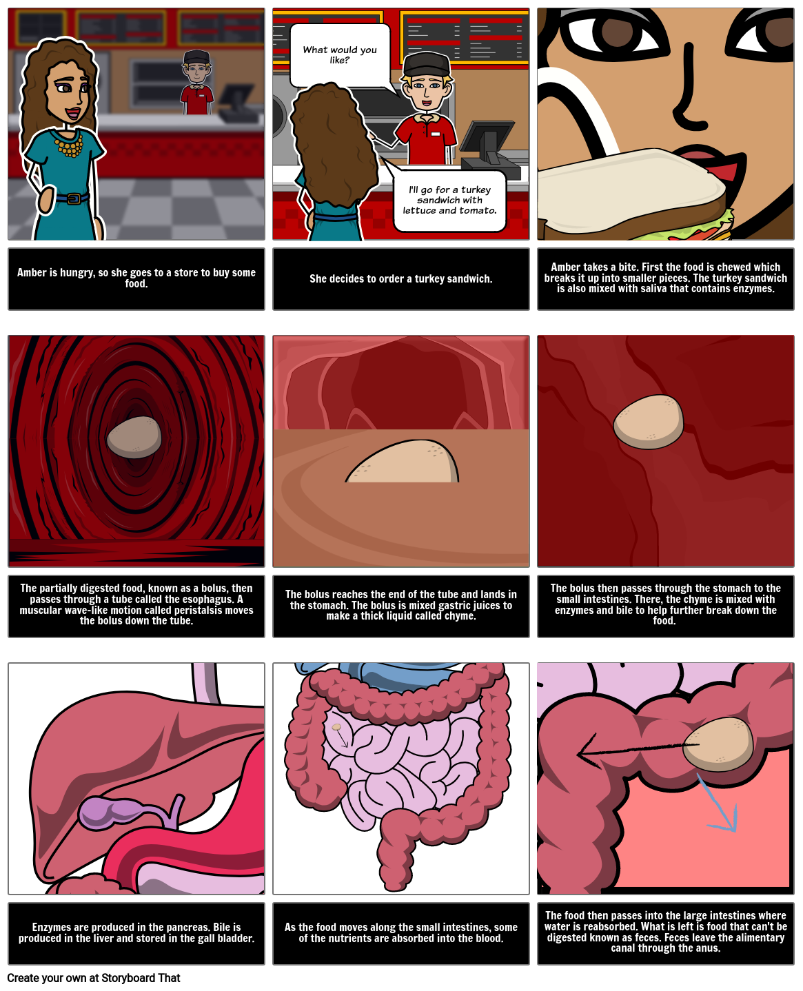 The Digestive System Diagram & Comic Science Activities