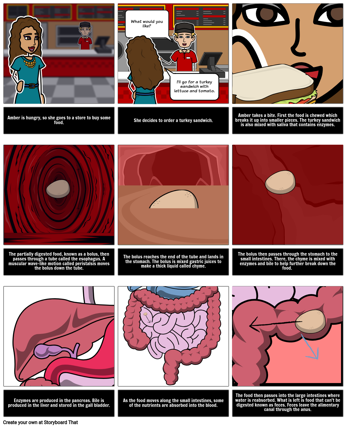 Digestion Narrative How Is Food Digested Storyboard