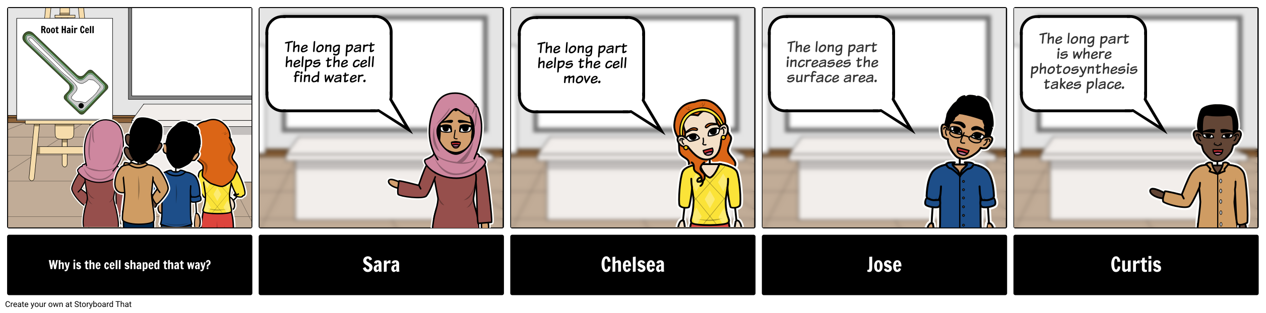 Discussion Storyboard on Specialized Cells - Middle School