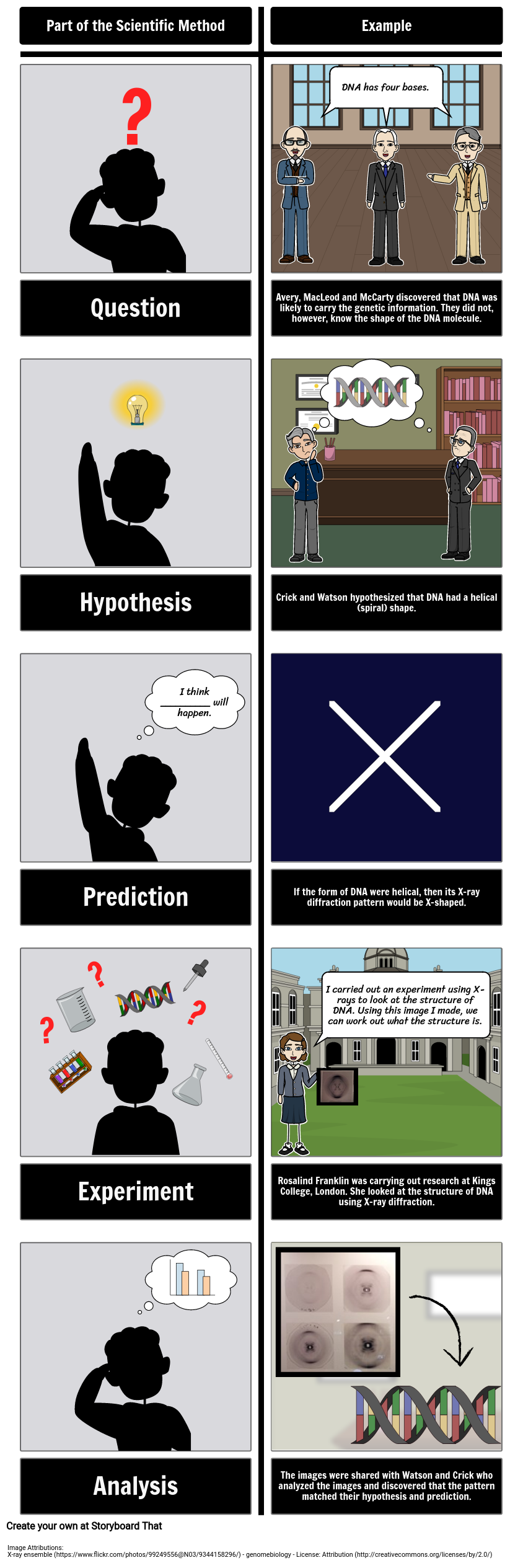 scientific-method-with-dna-storyboard-por-oliversmith