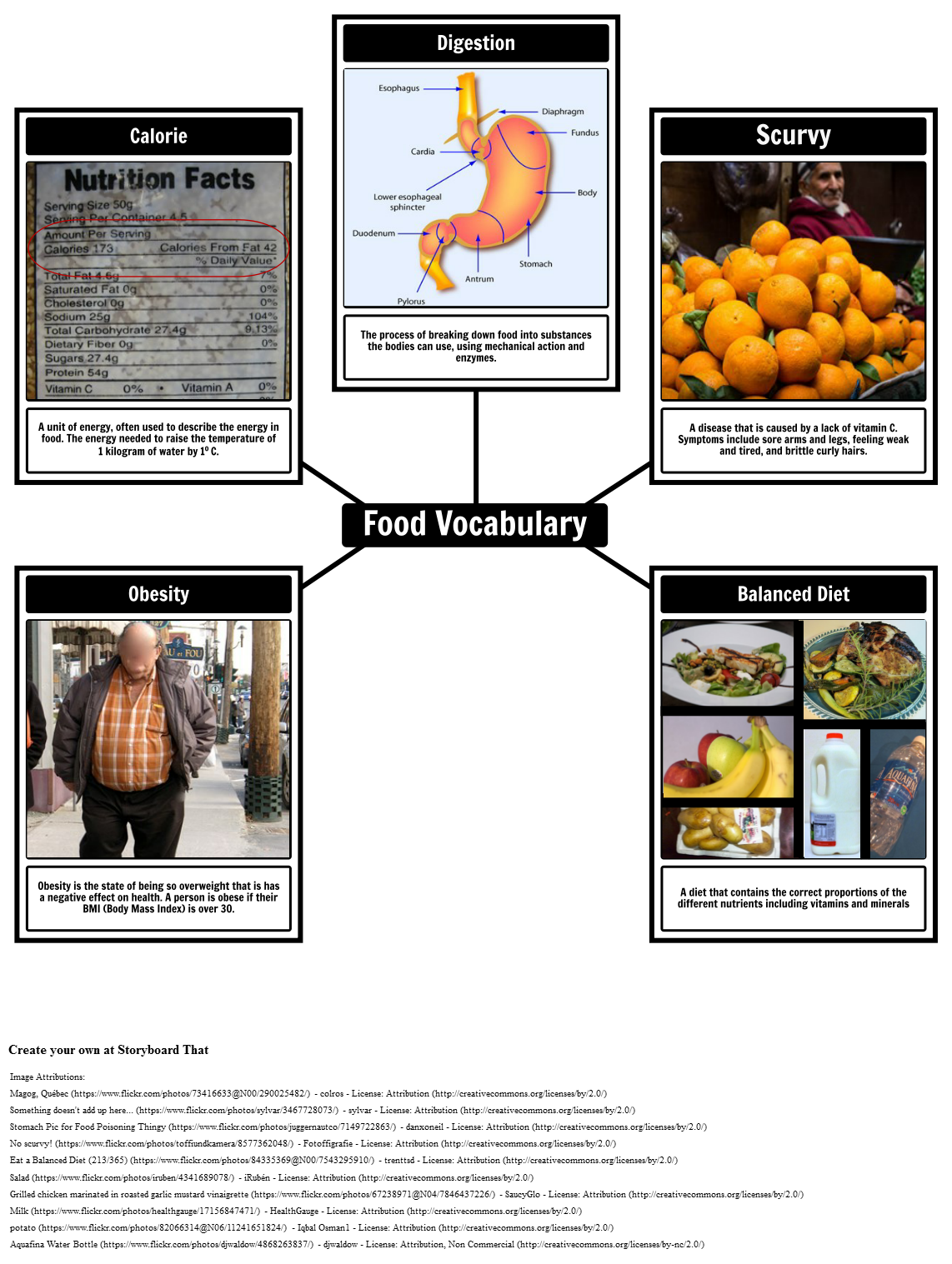 food-and-nutrition-vocabulary-storyboard-par-oliversmith