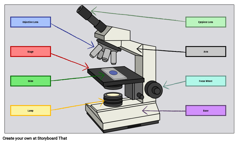 Labeled Microscope