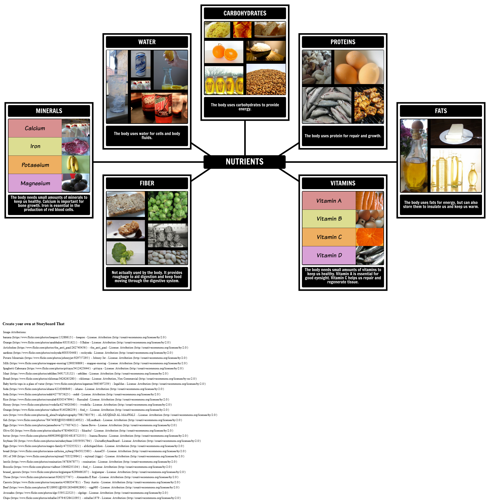 essential-nutrients-spider-map-storyboard-por-oliversmith