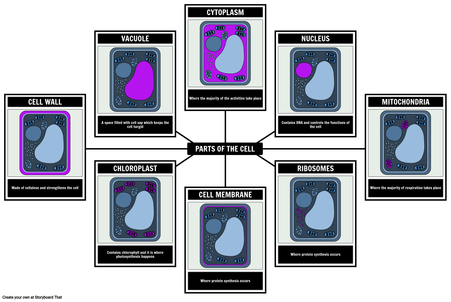 structure-of-a-plant-cell-learning-science-plant-cell-classical