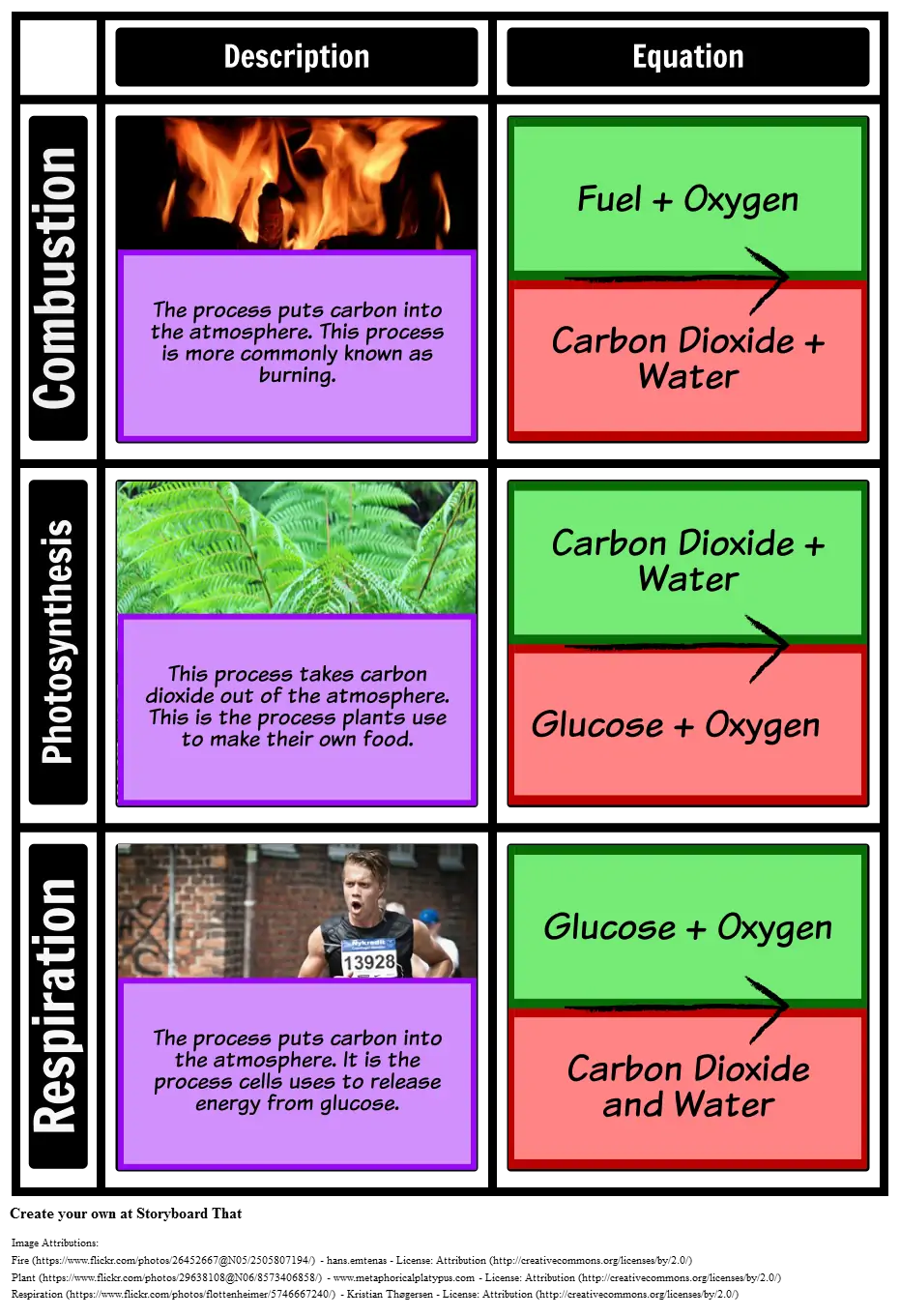 Processes In The Carbon Cycle Grid