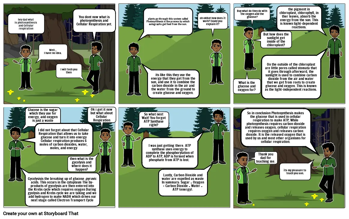 photosynthesis & cellular respiration