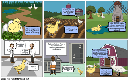 Cell Theory Storyboard