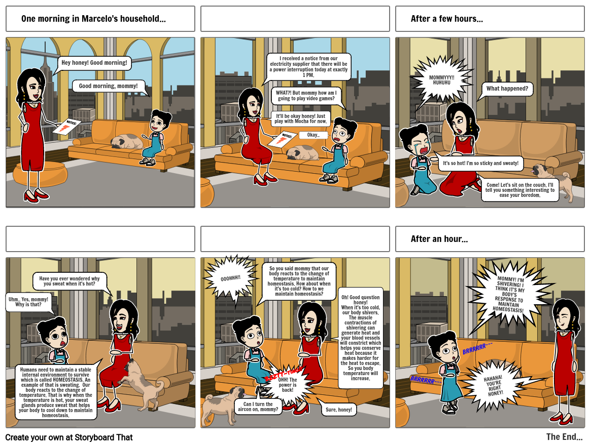 Homeostasis Storyboard By Pre Ivy