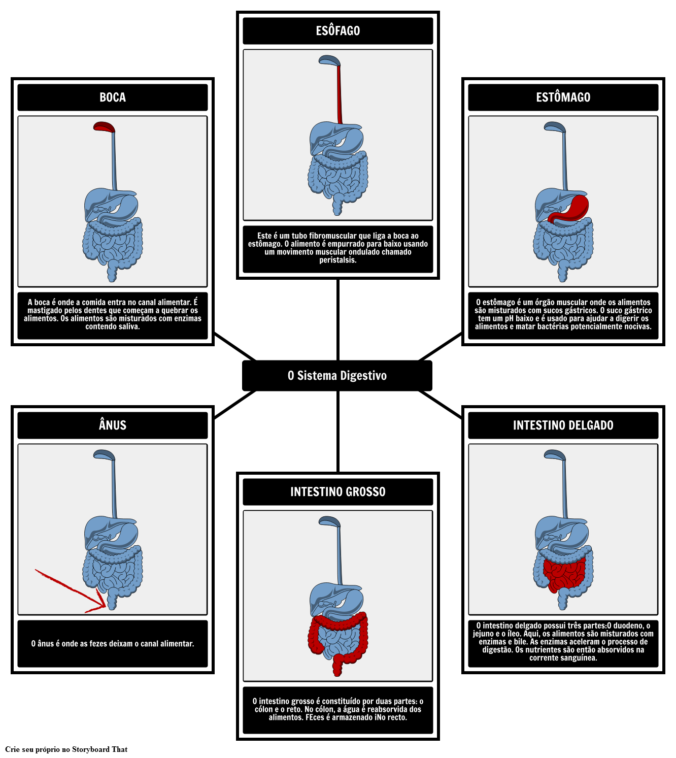 Planilha Do Diagrama De Venn Storyboard Por Pt Examples Sexiz Pix 8474