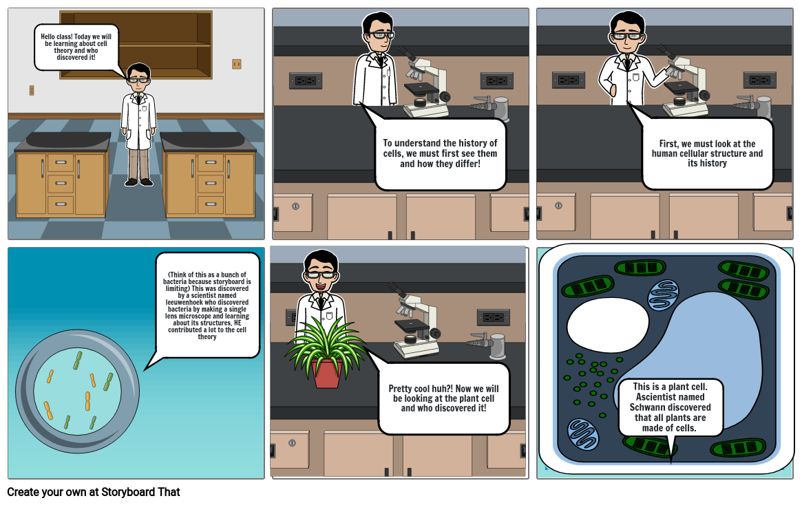 Discovery of cells Storyboard by ra1376