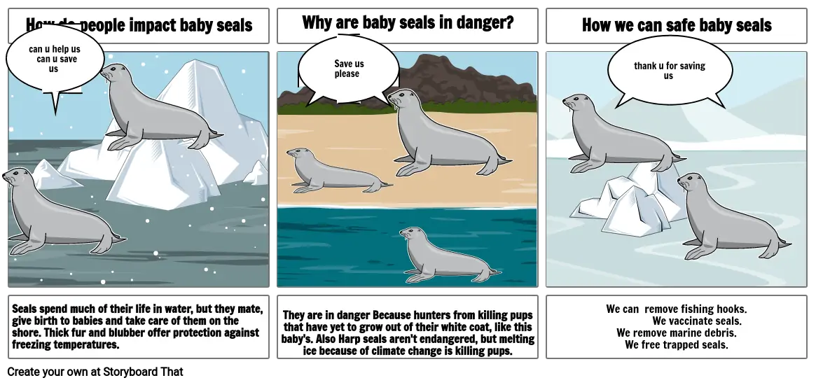 Seals project